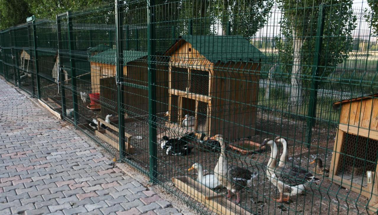 Sivas Termal Hotel Spa & Hotel Asagiyildizli Esterno foto